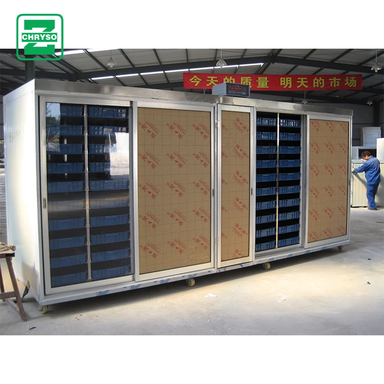 Commercial Seed Germination Machine Automatic Bean Sprout Maker Fodder 