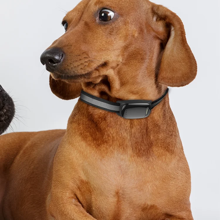 

Long Battery Working Time GPS Satellite Geo-Fencing Alarm Pet Collar Para Mascotas Con GPS