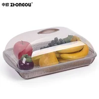 

Transparent Plastic Fruit Tray Plate Fruit Snack Dish Plate