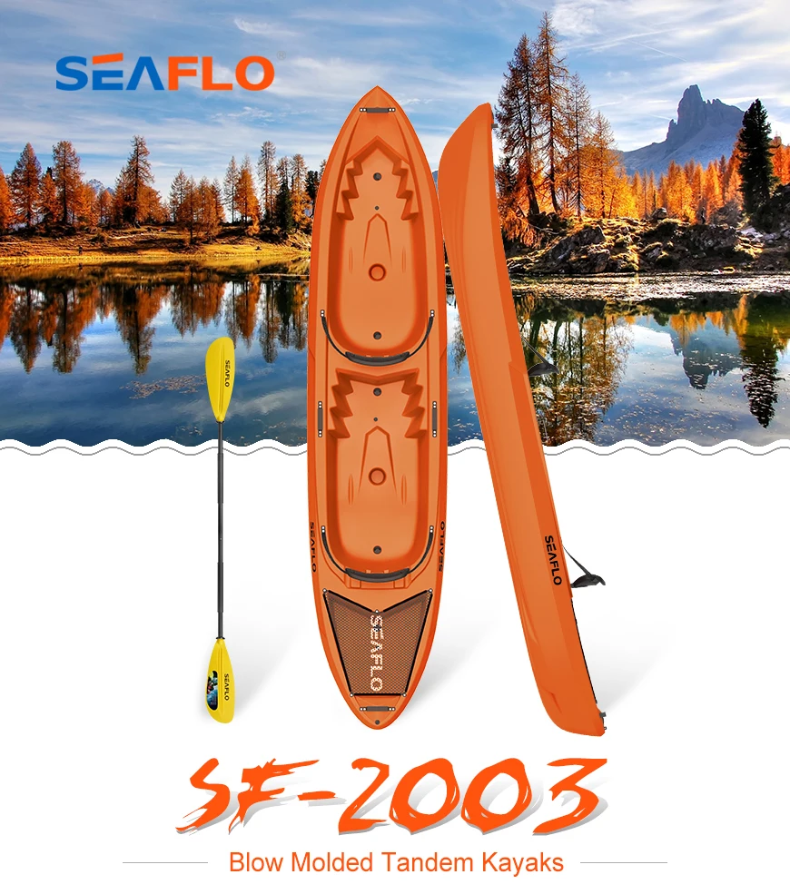2003a.jpg