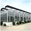 Factory Supply High Quality Tomato/Cucumber/Egg Plant/Salad/Chili/Strawberry Plastic PC Greenhouse for Sale