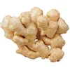 wholesale price supermarket using supplier fresh ginger and garlic