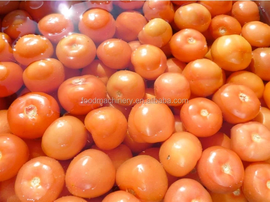 commercial fruit and vegetable washer
