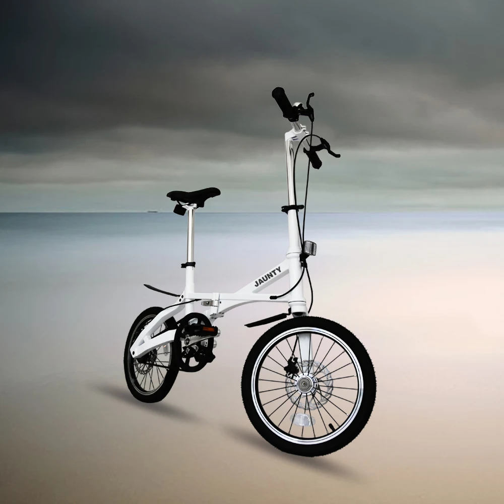 chinese folding bike