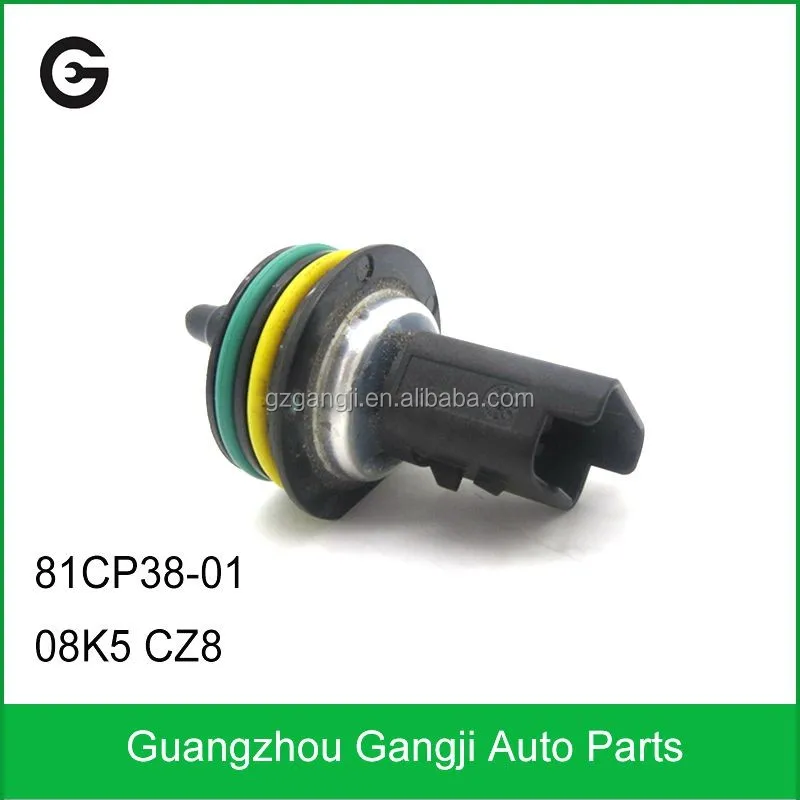 81CP38-01-2