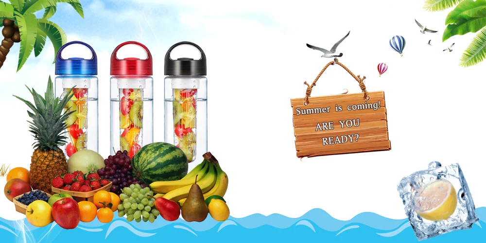 24oz Fruit Infuser Water Bottle Beautiful Gift Box Unique Stylish