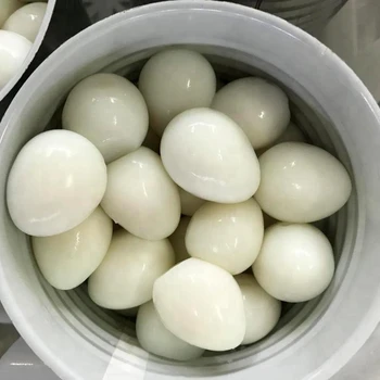 Canned Boiled Quail Eggs In Brine Packing In Tins Or Bags - Buy Quail
