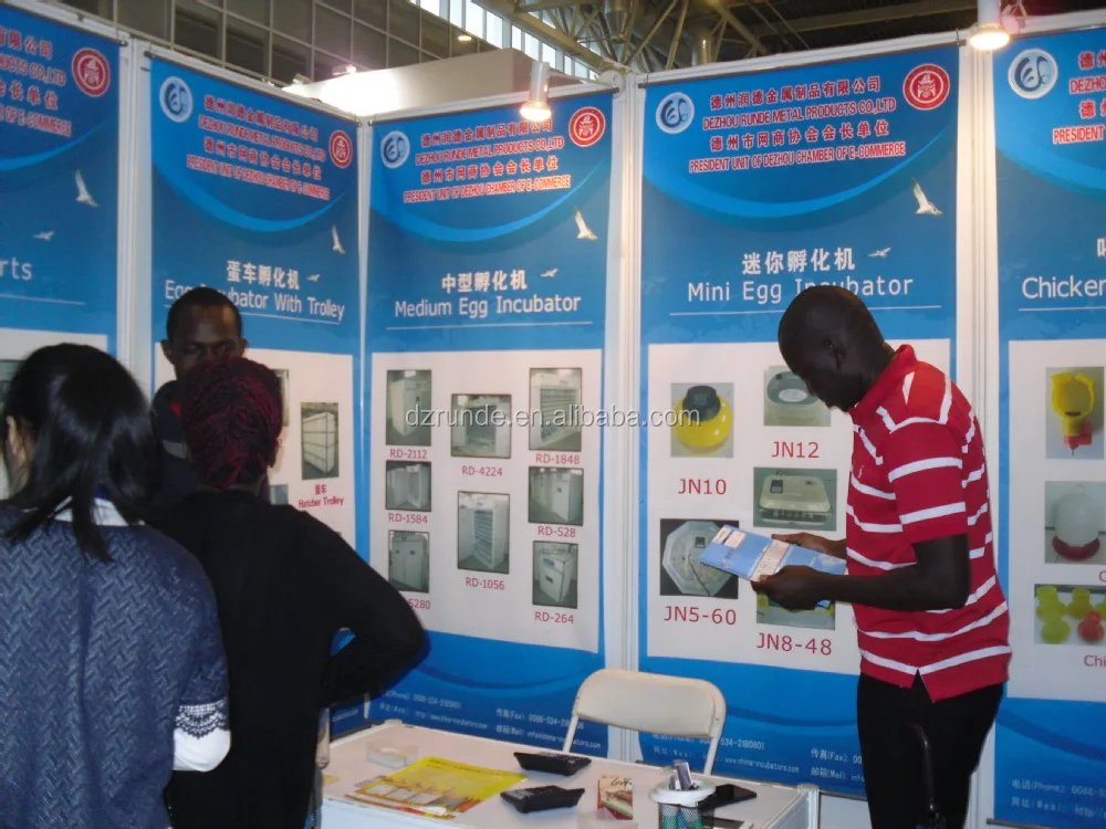 Factory Directly Supply Best Price Quail Egg Incubator For Sale/500 Egg