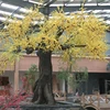 Eco Friendly New Model Bonsai Plant Artificial Tree With Fire Retardant Certificate