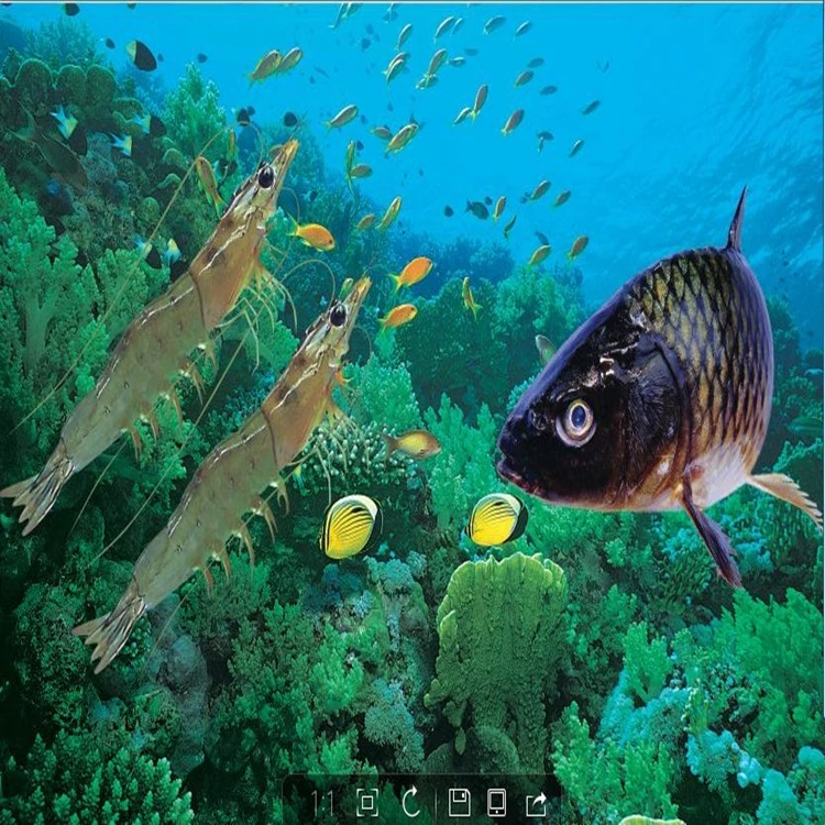 750x750_.jpg