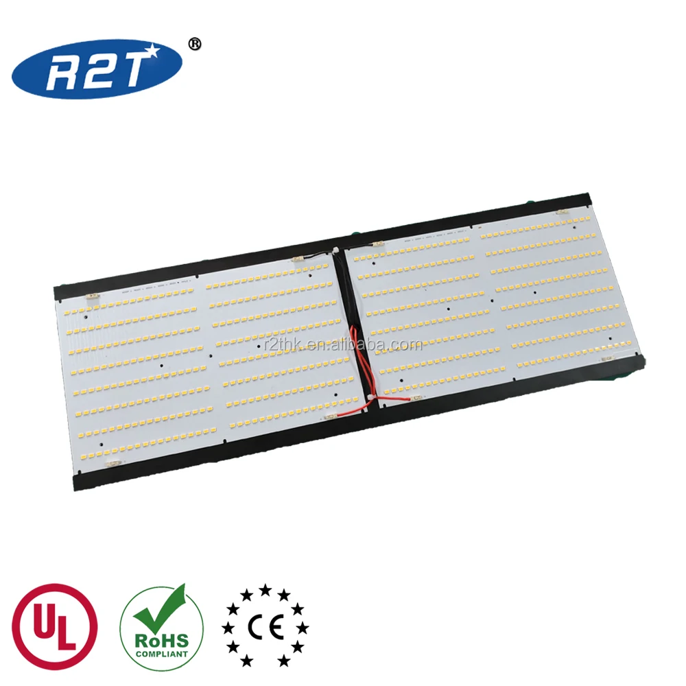 2in1 288V1 1000pix.jpg