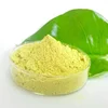 GMP Manufacturer 100% Natural Chamomile Extract white Apigenin 98% HPLC Apigenin