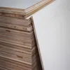 Paulownia Poplar Pine Fir Wood Cored Melamine Paper Faced Block Board/Blockboard