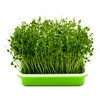 /product-detail/skyplant-plants-growing-nursery-seeding-fodder-trays-for-hydroponics-60812010018.html