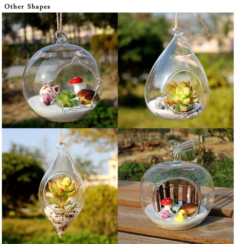 terrarium glass hanging