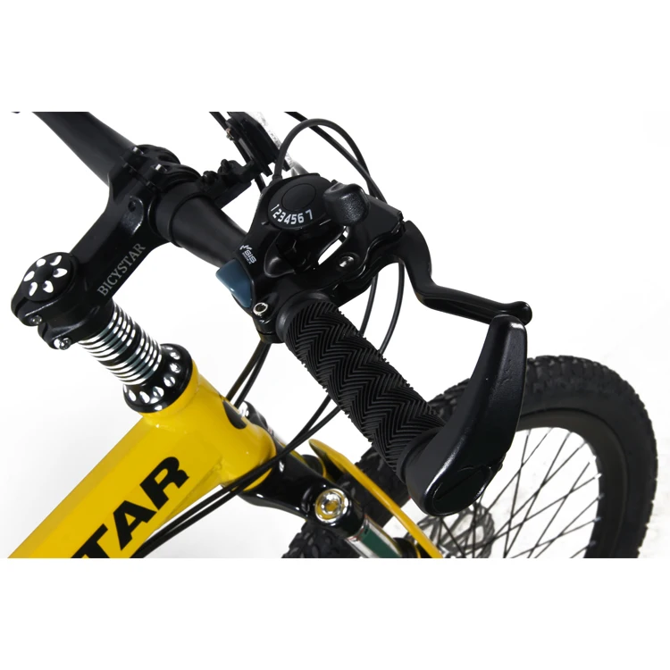 Bicystar Cheap Folding Bike,Hot Sale 20inch Folding Mountain Bike In Dubai,Steel Frame Mountain 