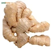dry ginger 10kg box wholesale ginger price