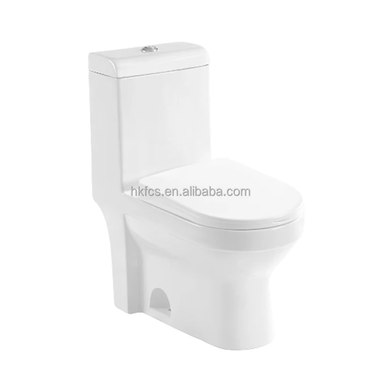 
CSA Certificated Elongated Dual Flush One piece Toilet 3097N 