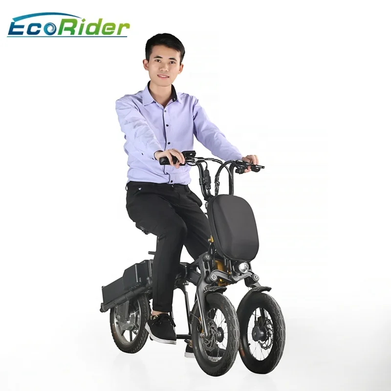 

2021 EcoRider Green Power Lithium Battery Folding E Bike/folding Electric Bike kit/3 wheel Bicycle/foldable Ebike 250W, Gray