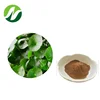 Chinese Factory Suppliers Hot Sale Gotu Kola Herbs Centella Asiatica Extract With Total Triterpenes10%,20%,30%,40%