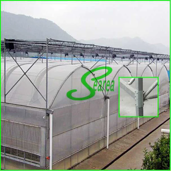 greenhouse style.jpg