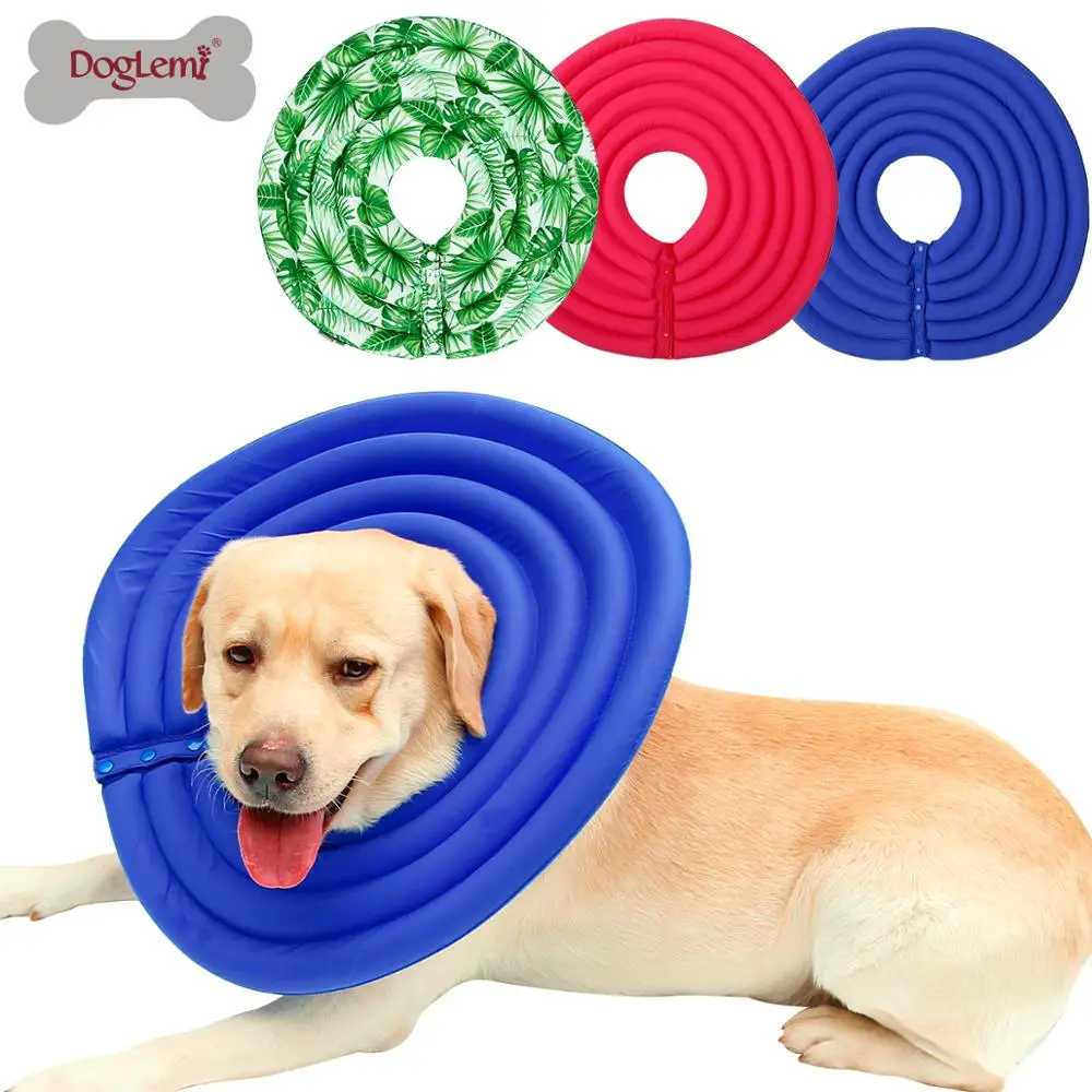 

New Arrival Hot Sale Dog Collar Dog Neck Protect, Blue, rose