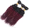 Pre-colored Ombre Burmese Curly Human Hair Bundles 1b/99j Burgundy Black Red Wine 100% Human Hair Weave