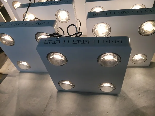 grow light (6).jpg