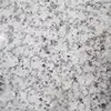 Hot Types Custom Cheap Outdoor White Granite Floor Tiles