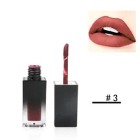 

Hot Selling OEM No Brand 4 Color Matte Liquid Lipstick