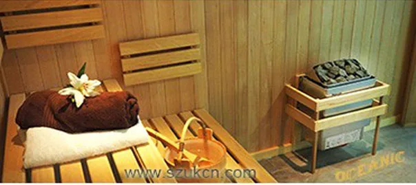 Oceanic build in control high quality electric sauna heater 3KW for sale