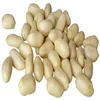 2018factory chocolate coated peanut PEELED PEANUT KERNELS