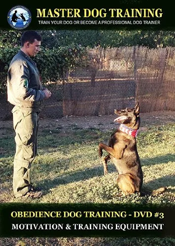 master dog trainer