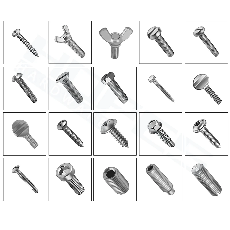 
Stainless steel Thumb Wing screw butterfly bolt A2 A4 SUS304 SUS316 antirust material fasteners supplier 