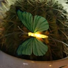 LED 2018 New Style products Rechargeable battery powered Butterfly String light Wedding Birthday Supply