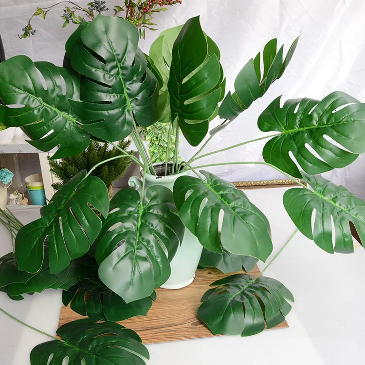 monstera (6).jpg