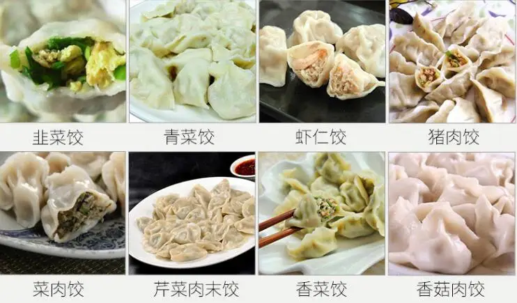 germany automatic samosa making machine