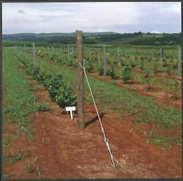 High Tension Spring Wire preformed cable grip tension drop wire clamp