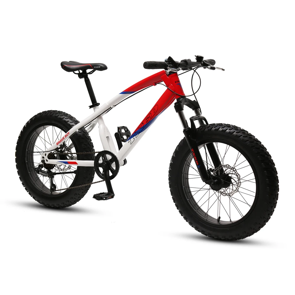 Fat best sale bike riscko