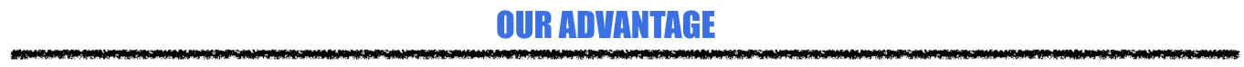 ADVANTAGE.png