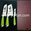 GJH185 flower print plastic handle stainless steel 3pcs knife set with box