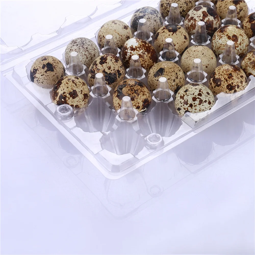 
best selling wholesale factory price clear disposable plastic quail egg tray for supermarket 