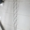 Plant Support Ring( professional manufacturer )