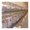 5 tiers prefabricated poultry house