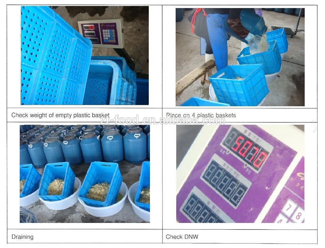 PNS King oyster mushroom in drums