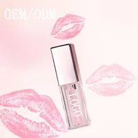 

OEM/ODM Wholesale lip gloss lip oil