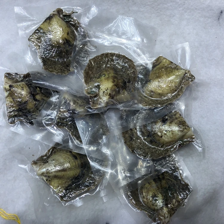 6-8mm Wholesale White Pearl Oyster Cultured Saltwater Oyster Pearls ...