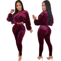 

New Arrivals Women Sexy Slim Fit Long Sleeves Side Stripe Drawstring Cropped Hoodie Tops Joggers wear Velvet Tracksuit