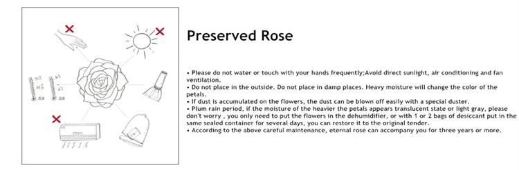 Stabilized Flower Bouquet Long Stem Preserved Rose for Birthday Party Items