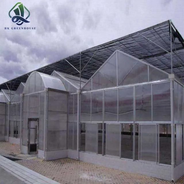 Multispans Glass Agricultural Greenhouse Fiberglass Greenhouse